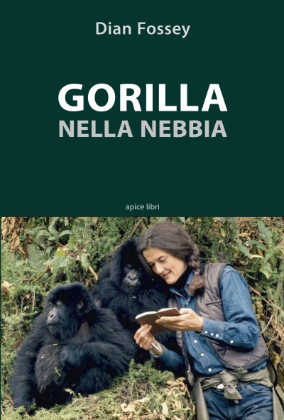 Gorilla nella nebbia